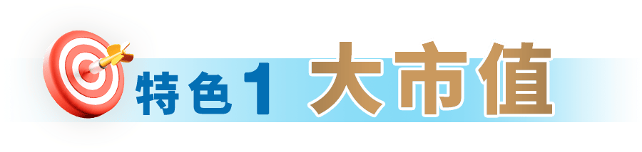 特色1 大市值