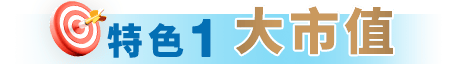 特色1 大市值